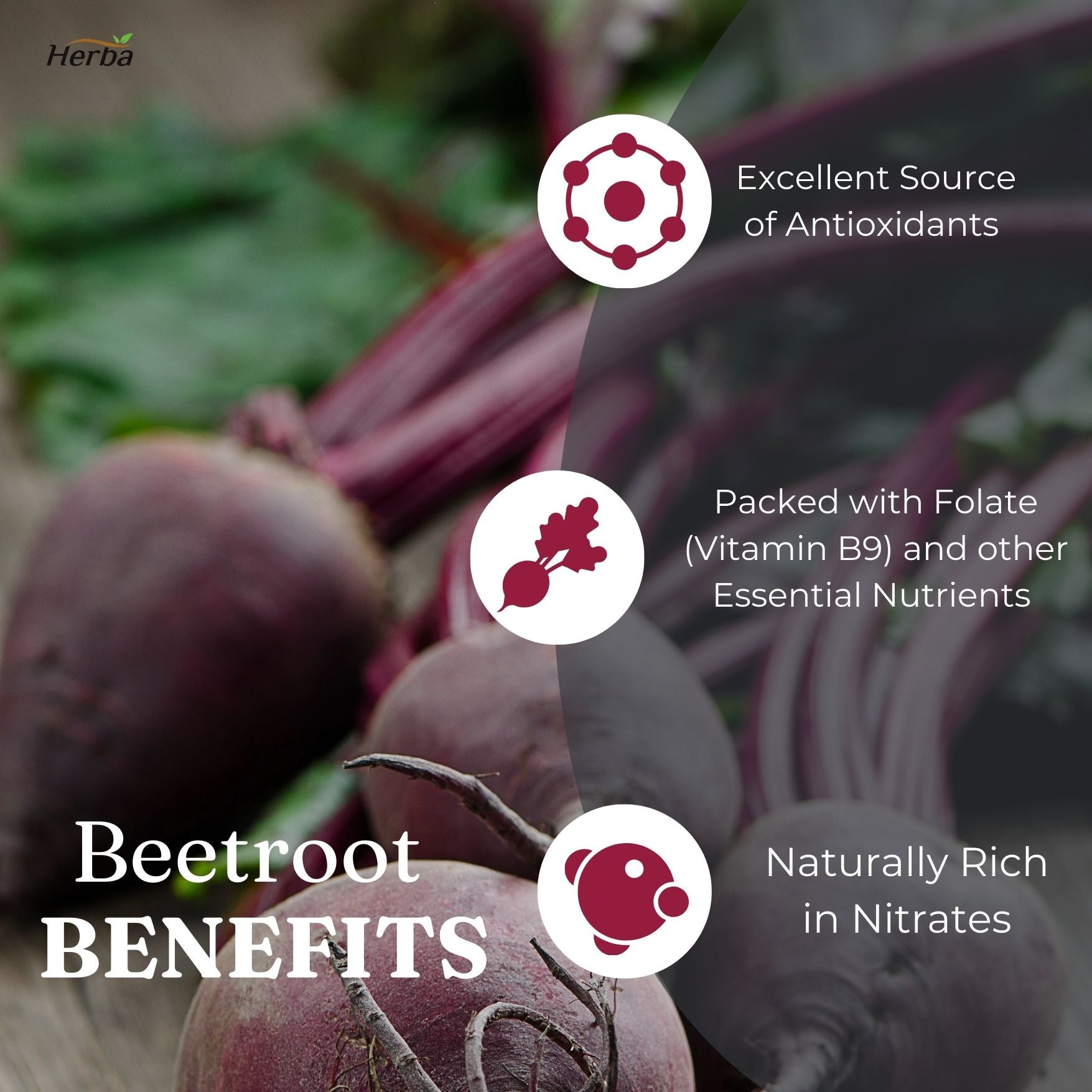 Buy Herba Organic Beetroot Supplement 10 000mg 180 Capsules Made in Canada