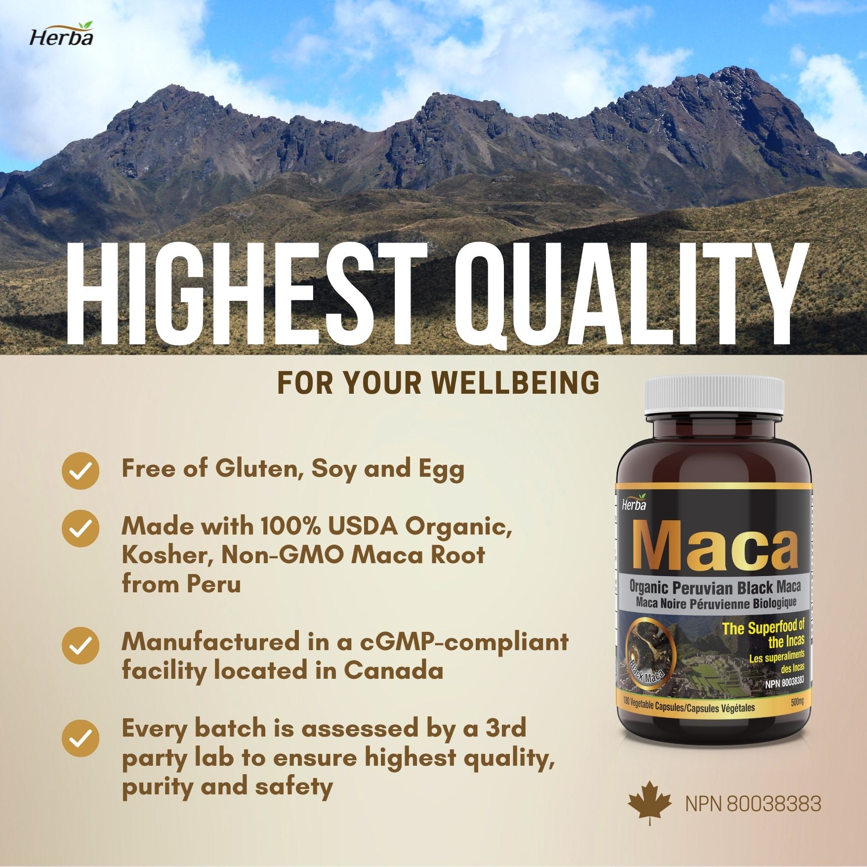 Organic Black Maca Capsules - 500mg, 180 Capsules | Peruvian Black Maca - Herba