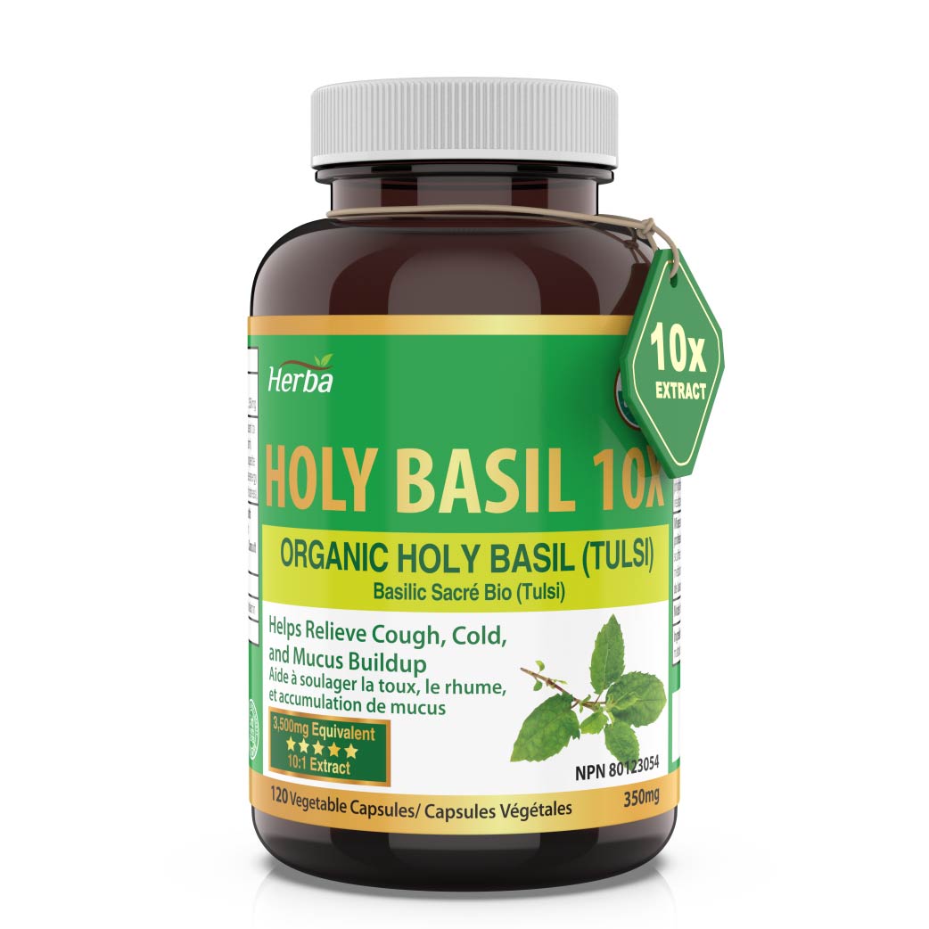 Organic Holy Basil Capsules – 350mg | 120 Vegetable Capsules - Herba