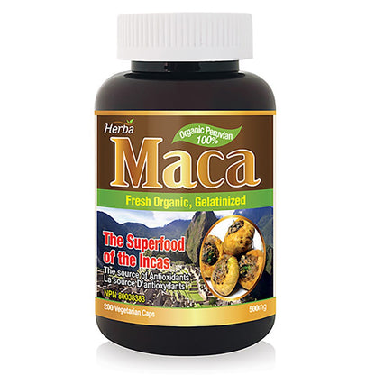 organic peruvian maca supplements