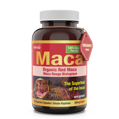 Organic Red Maca Capsules for Women – 500mg, 150 Capsules - Herba