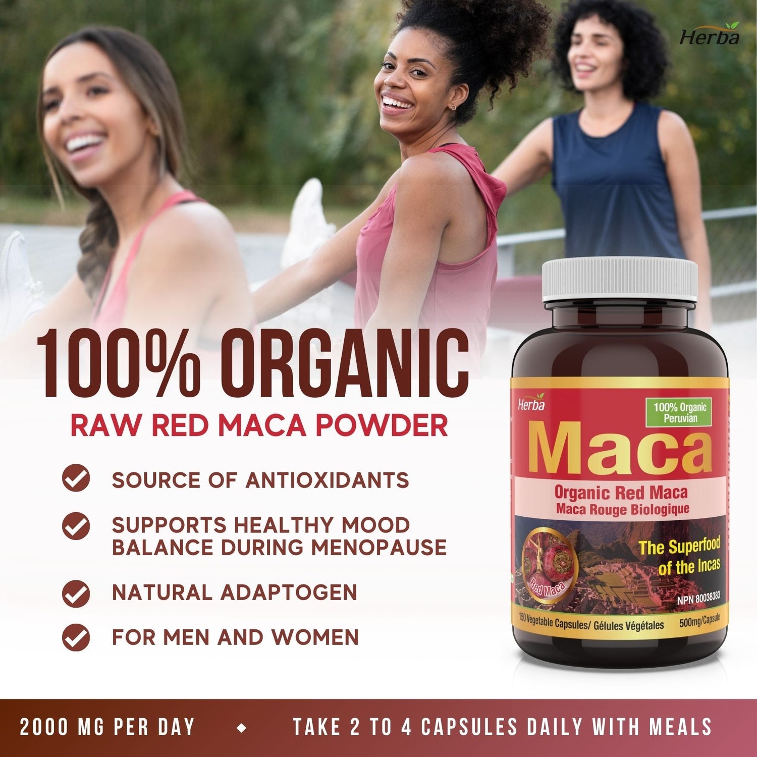 Organic Red Maca Capsules for Women – 500mg, 150 Capsules - Herba