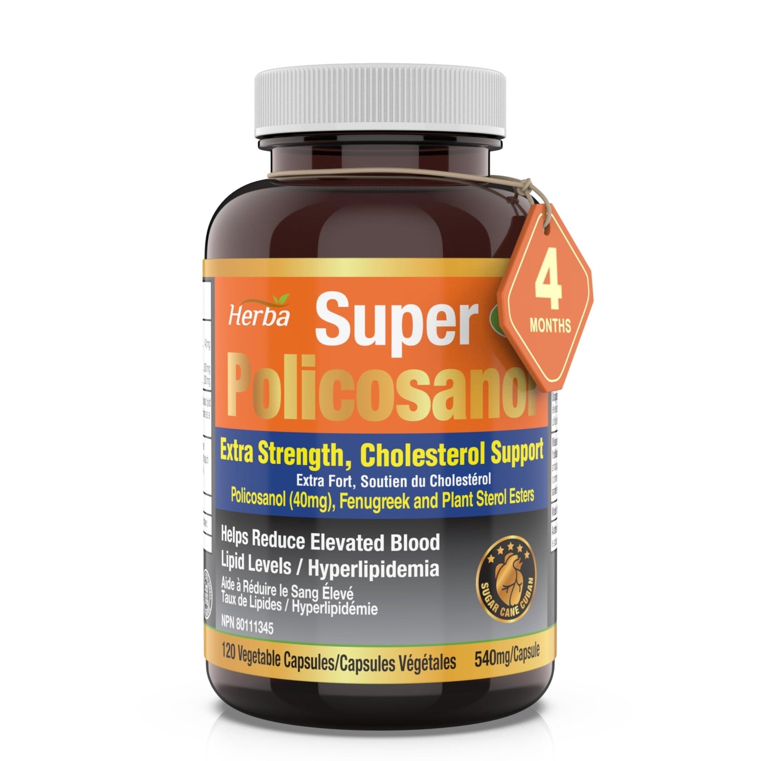 policosanol digestive health supplements