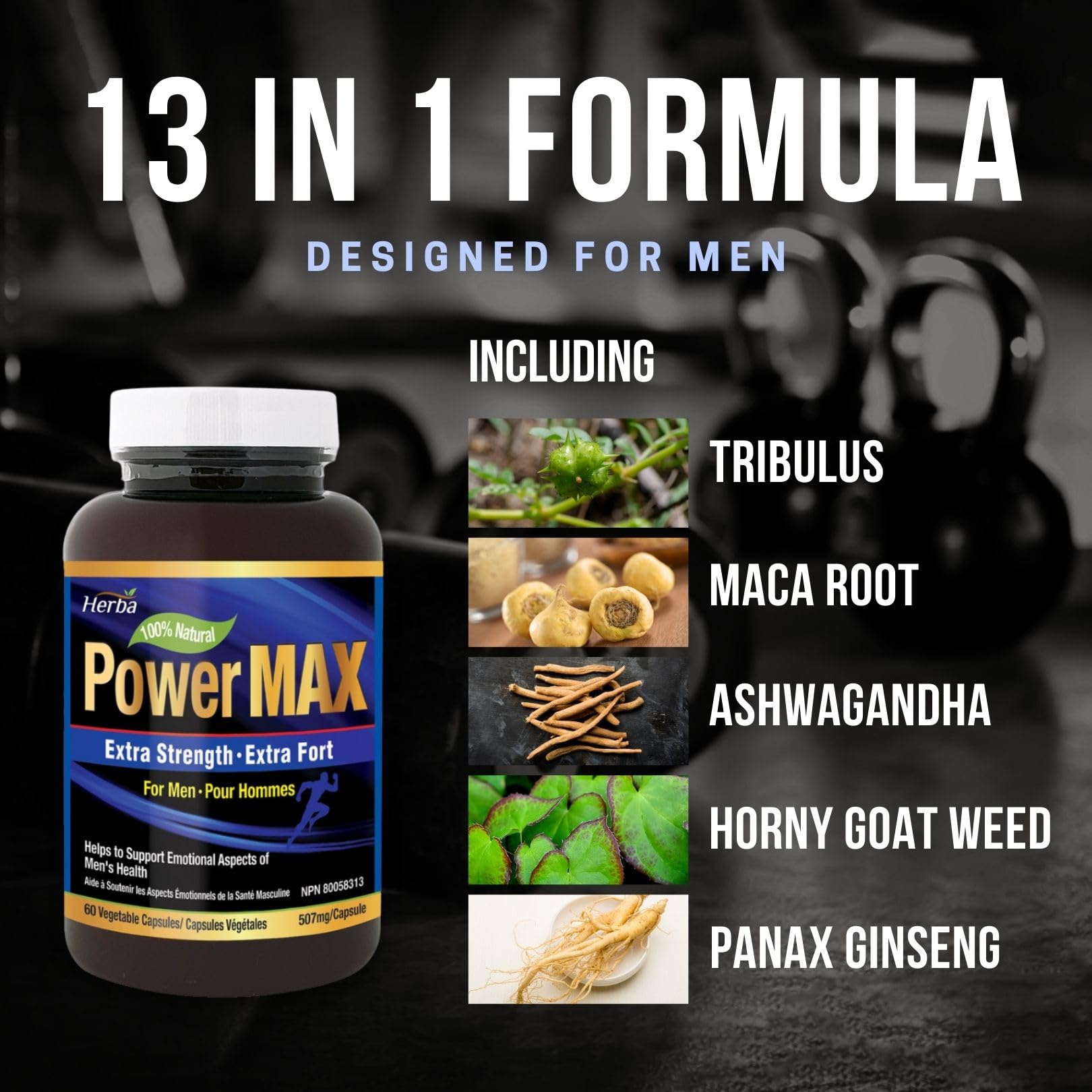 Power Max - 60 Capsules | Tongkat Ali, Maca, Tribulus, Panax Ginseng and 9 Other Ingredients - Herba