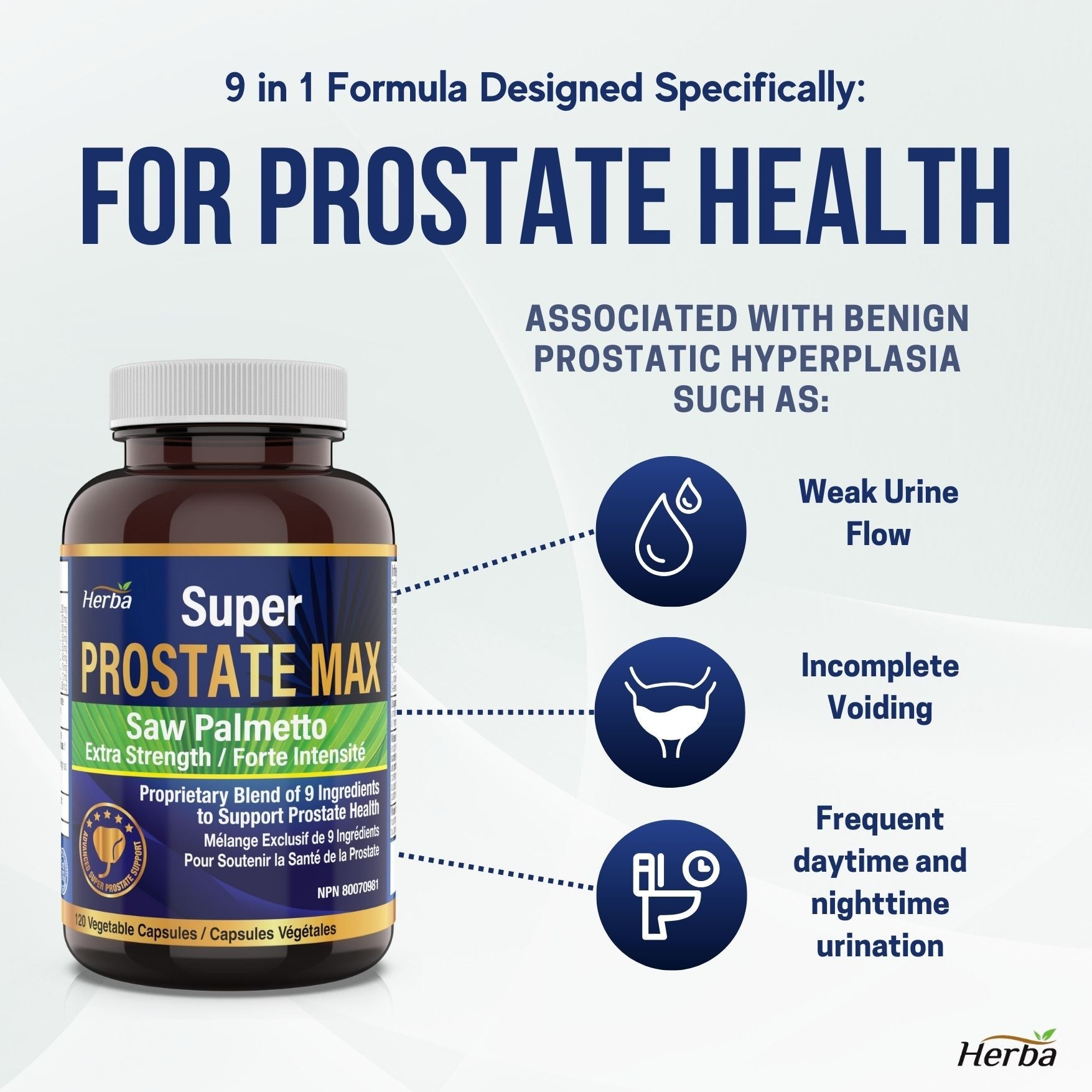 Prostate Max - Prostate Supplement for Men – 120 Capsules | 9 Natural Ingredients - Herba