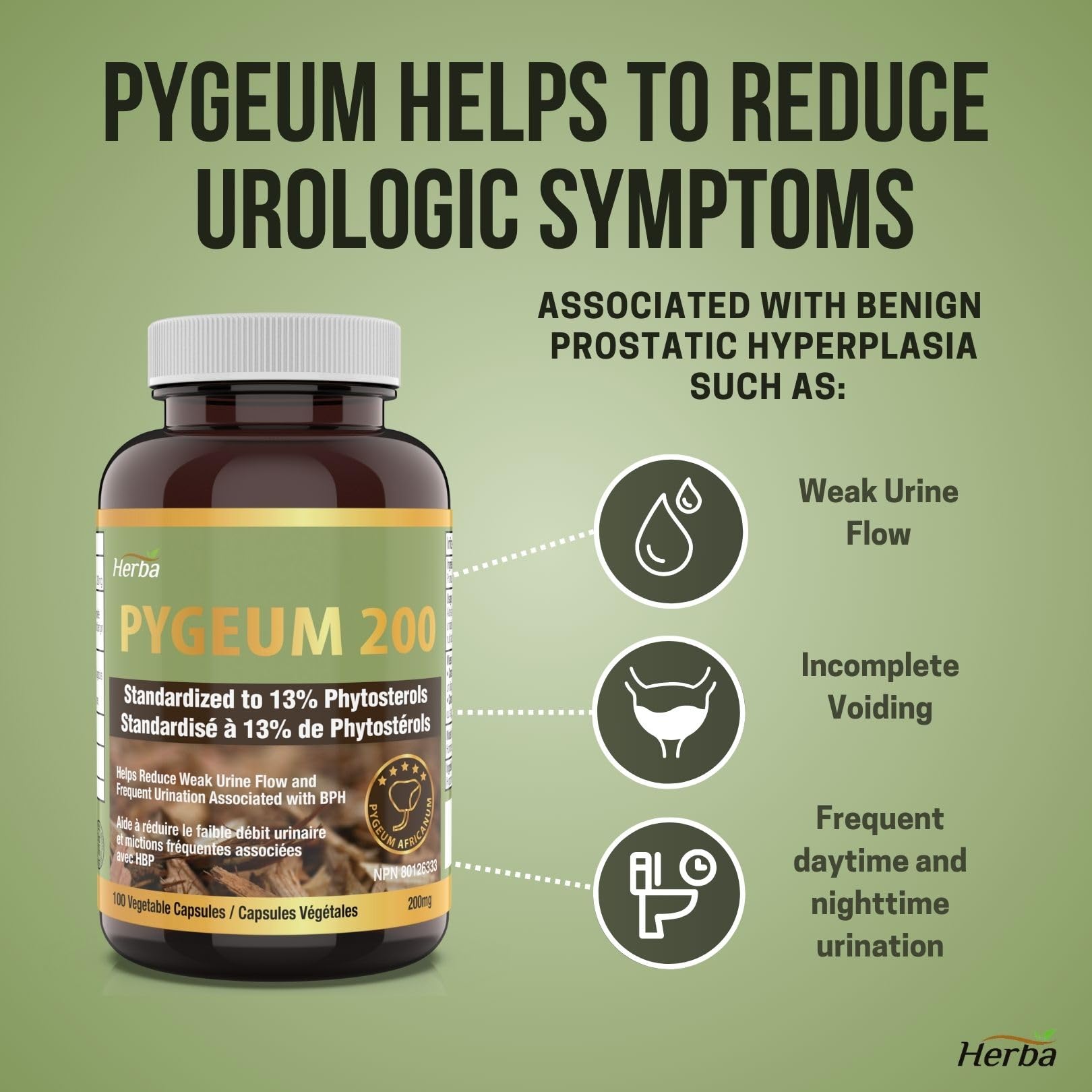 Pygeum Supplement 200mg – 100 Capsules | Made in Canada - Herba