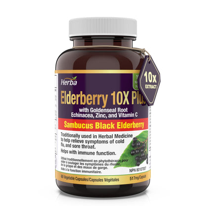 Sambucus Black Elderberry Capsules – 2,000mg Equivalent | 10:1 Extract with Echinacea and Goldenseal Root, Vitamin C, and Zinc - Herba