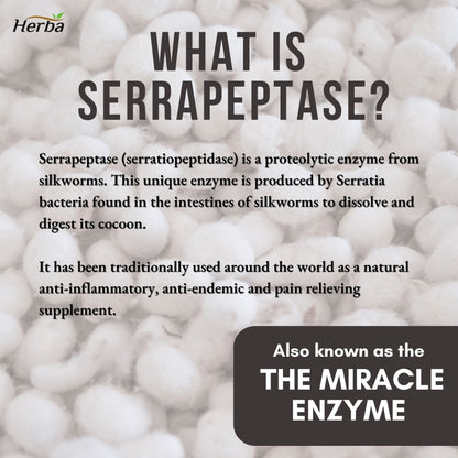 Serrapeptase 120,000 SU - 90 Vegetable Capsules - Herba