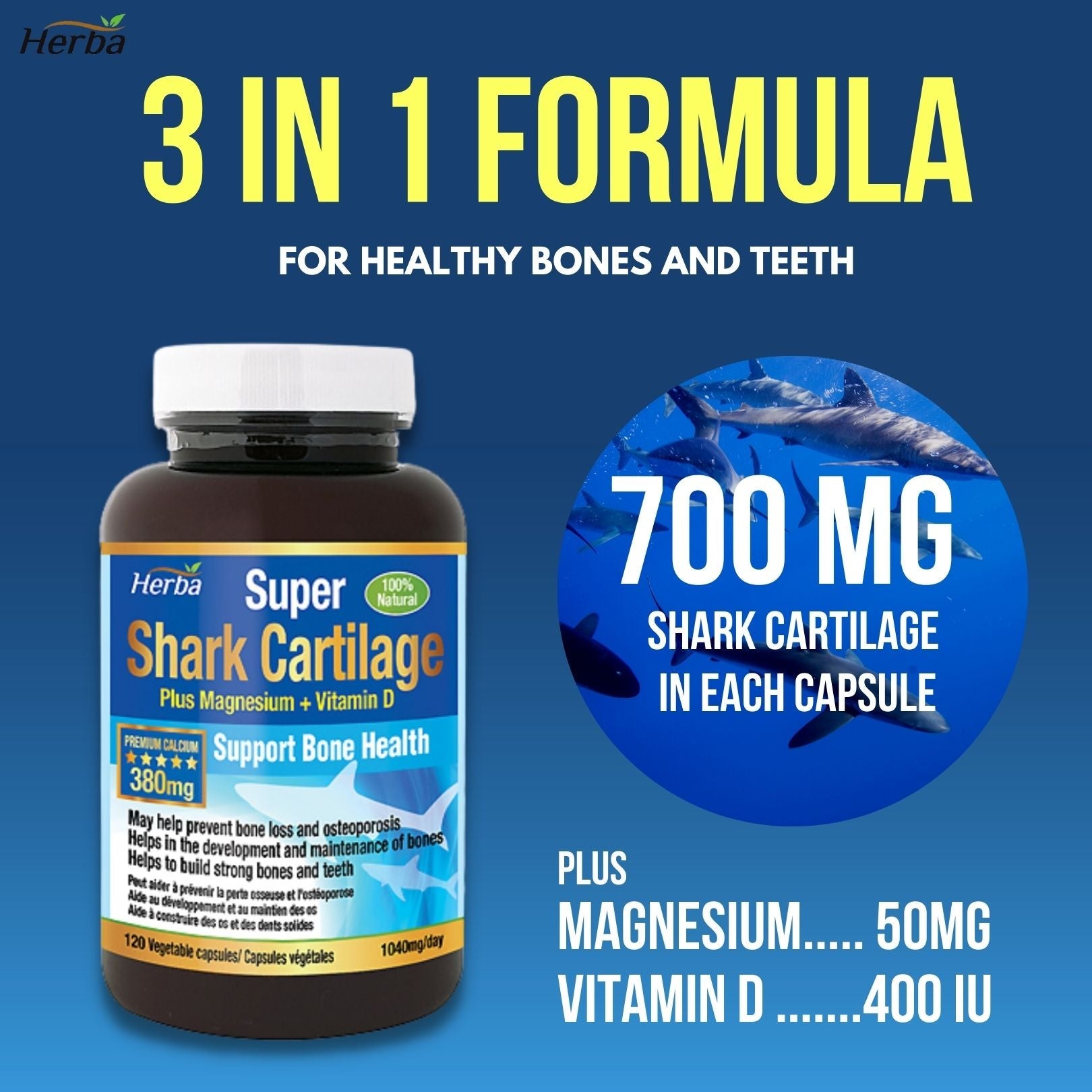 Shark Cartilage Capsules - 120 Capsules | 1,500mg Per Day | Shark Cartilage Supplement for Joints with Magnesium and Vitamin D3 - Herba