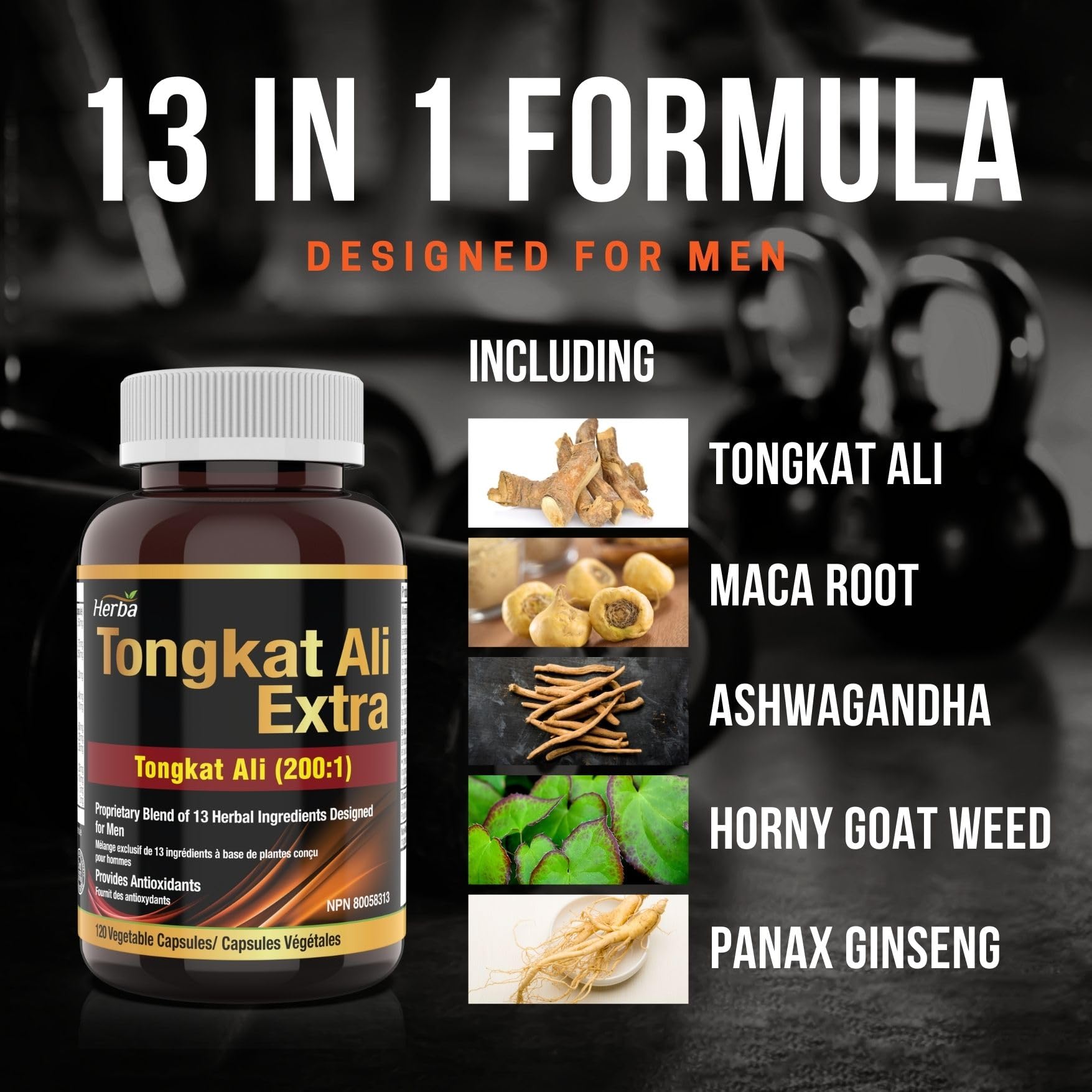 Tongkat Ali Supplement 200:1 - Made in Canada | 120 Capsules | Proprietary Blend including 10,000mg Equivalent of Tongkat Ali Extract - Herba