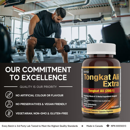 Tongkat Ali Supplement 200:1 - Made in Canada | 120 Capsules | Proprietary Blend including 10,000mg Equivalent of Tongkat Ali Extract - Herba