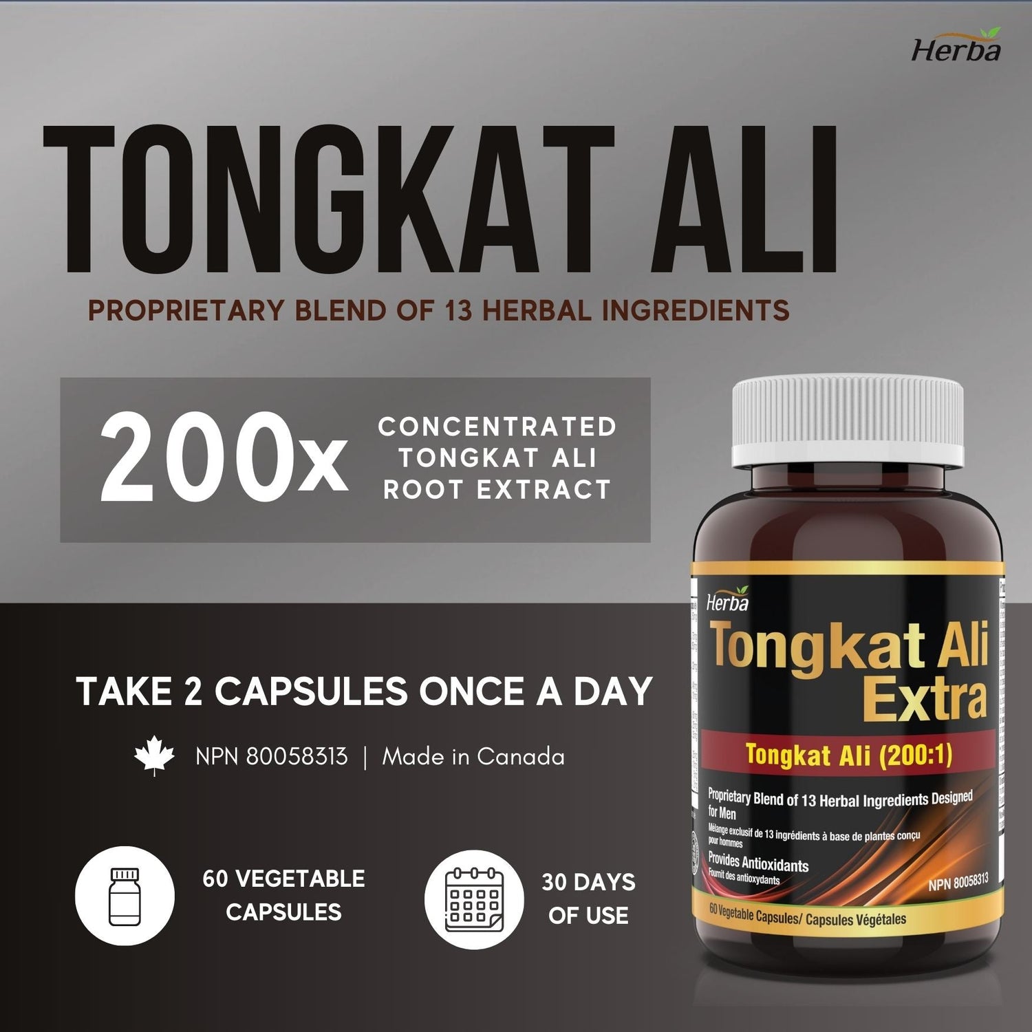 Tongkat Ali Supplement 200:1 - Made in Canada | 60 Capsules | Proprietary Blend including 10,000mg Equivalent of Tongkat Ali Extract - Herba